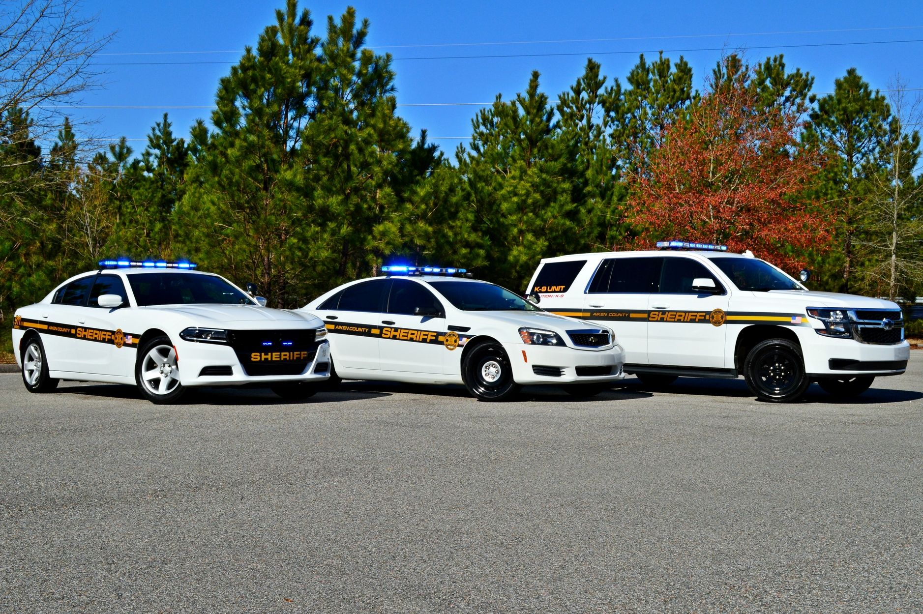 Distintivo Sheriff Pima County, 1920x1080 Full HD, Laptop