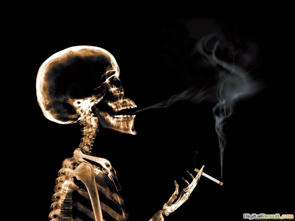 Scheletro che fuma sigaretta, 1024x768 HD, PC