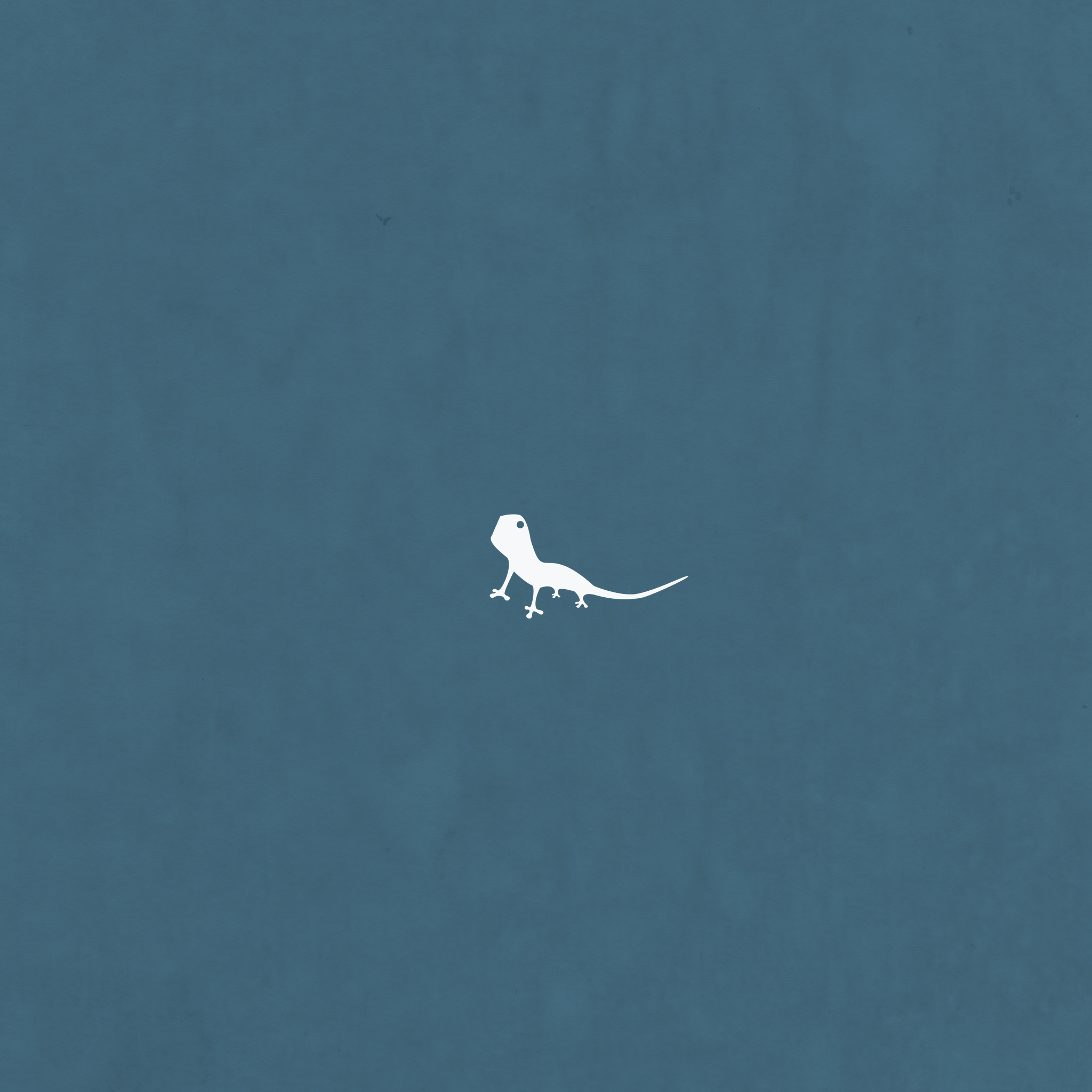 Lucertola bianca minimalista blu, 2048x2048 2K, iPad Pro