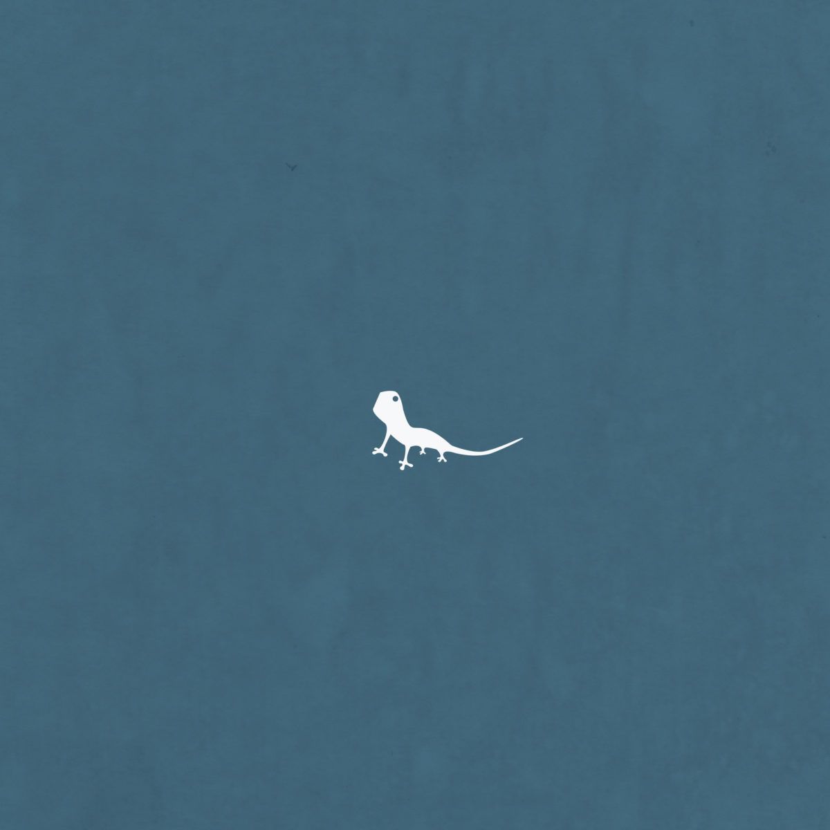 Silhouette lucertola bianca sfondo blu, 1200x1200 HD, iPad Pro