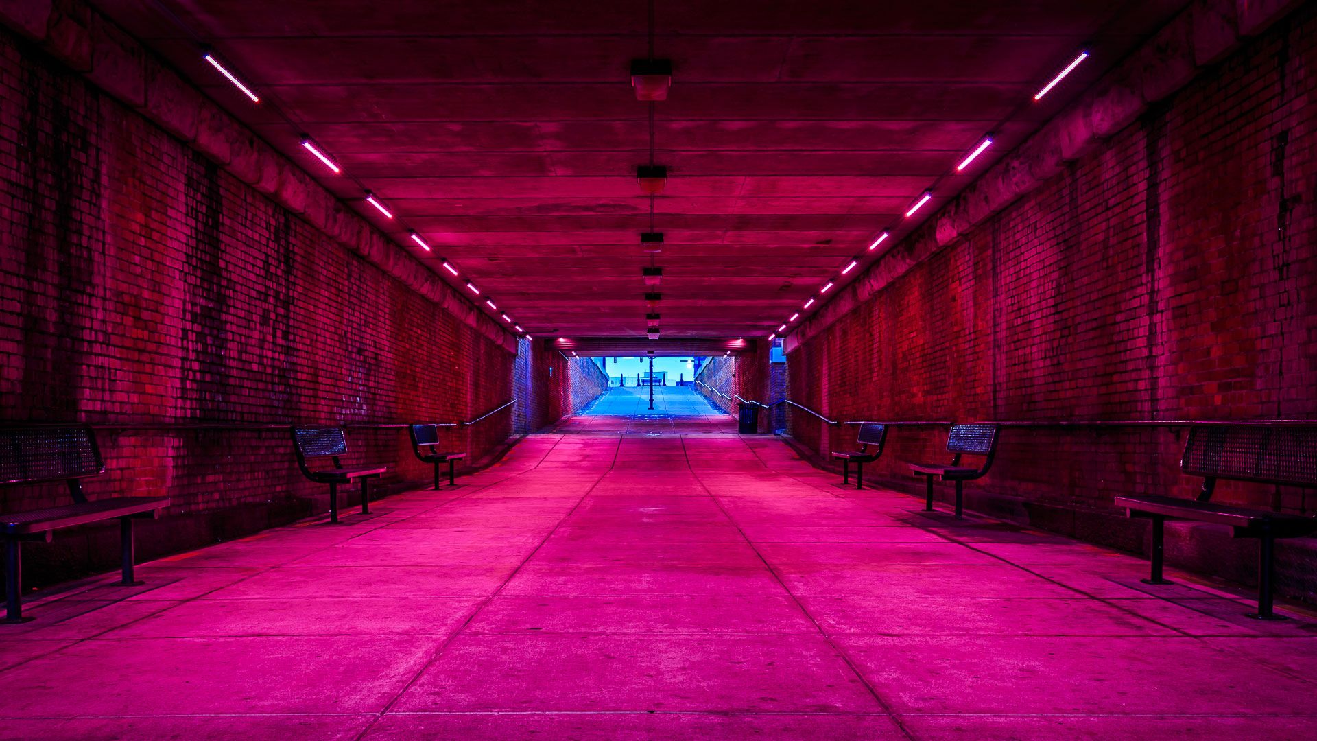 Tunnel illuminato rosa neon, 1920x1080 Full HD, Desktop