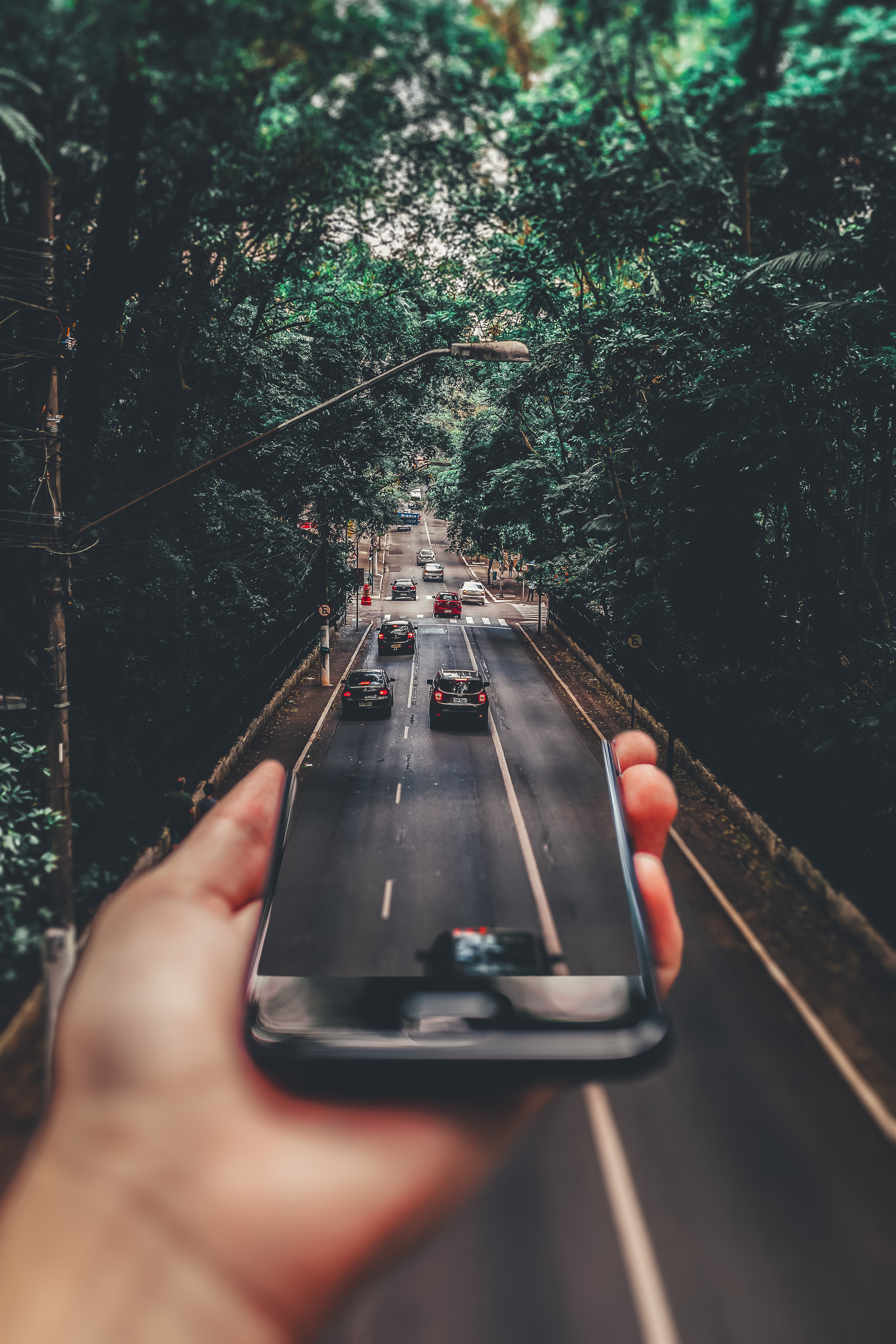 Mano con smartphone su strada alberata, 3504x5256 Full HD Verticale, iPhone
