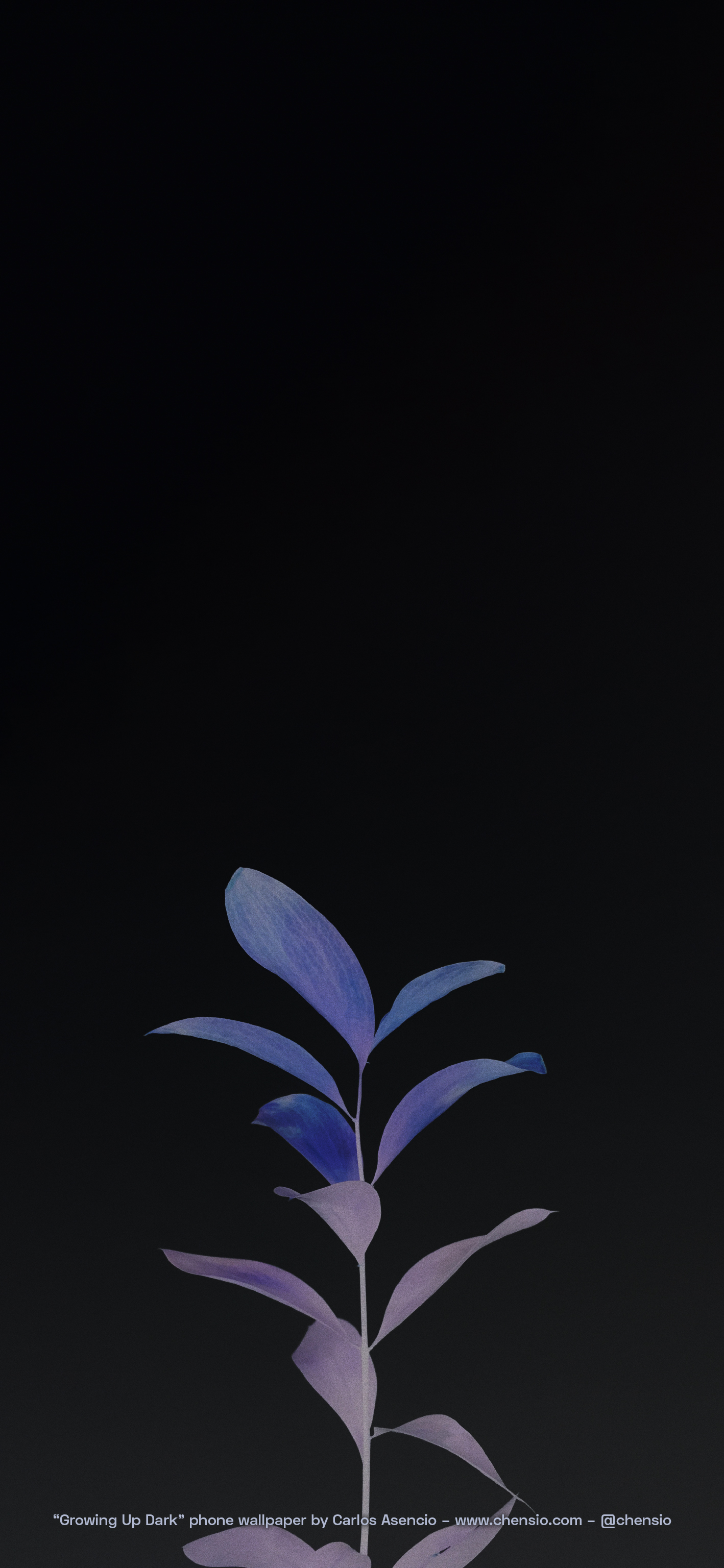 Pianta blu su sfondo nero, 1418x3072 Verticale, Telefono