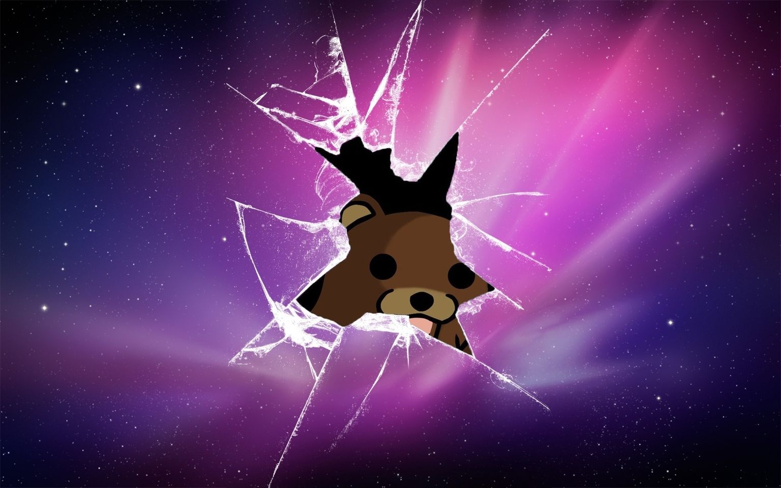 Orso cartone schermo rotto viola, 1536x960 720p, PC