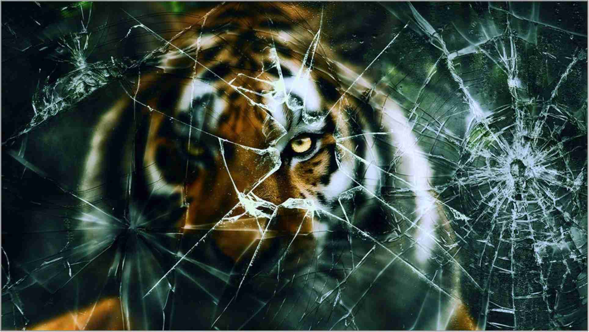 Tigre dietro vetro rotto, 1929x1089 1080p, iMac