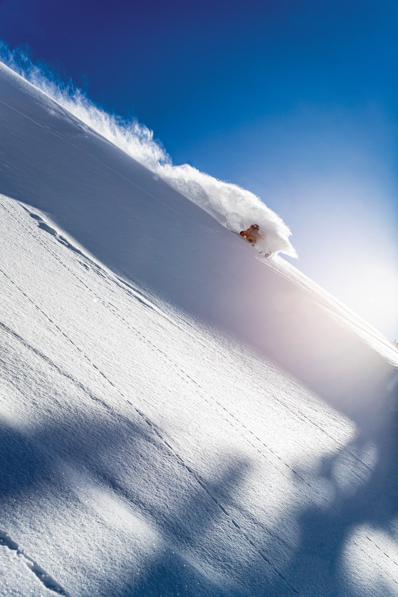 Sciatore su neve fresca, 1333x2000 Full HD Verticale, Google Pixel