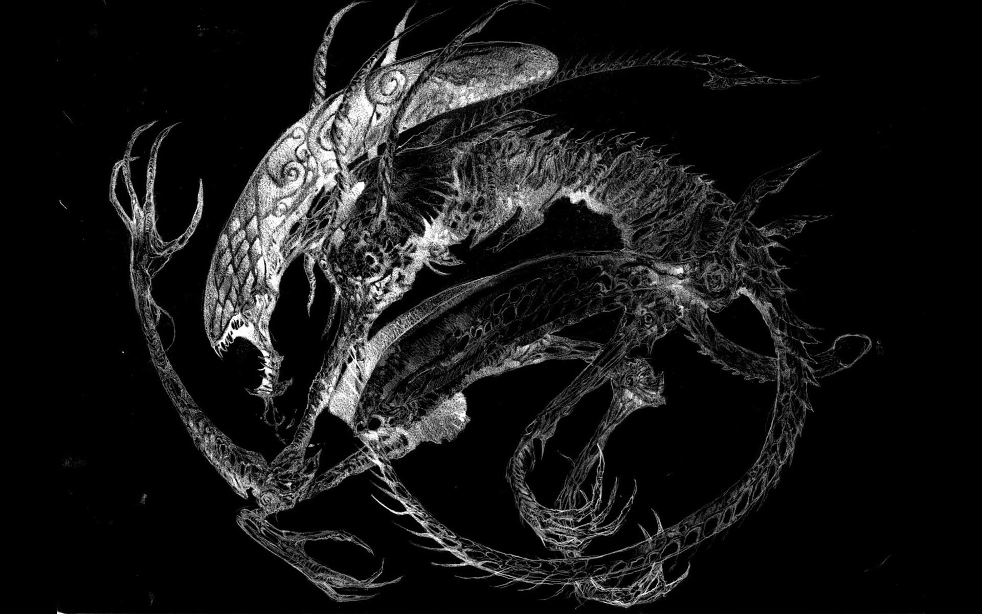 Xenomorph alieno disegno bianco nero, 1920x1200 Full HD+, Desktop
