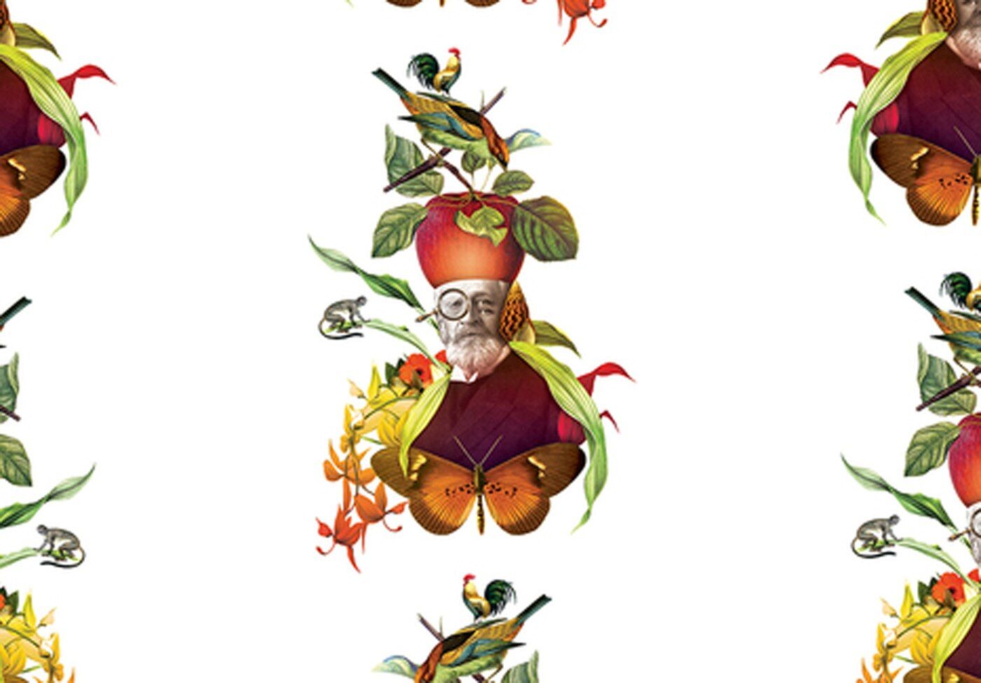 Collage botanico frutta e uccelli, 1400x974 HD, Desktop