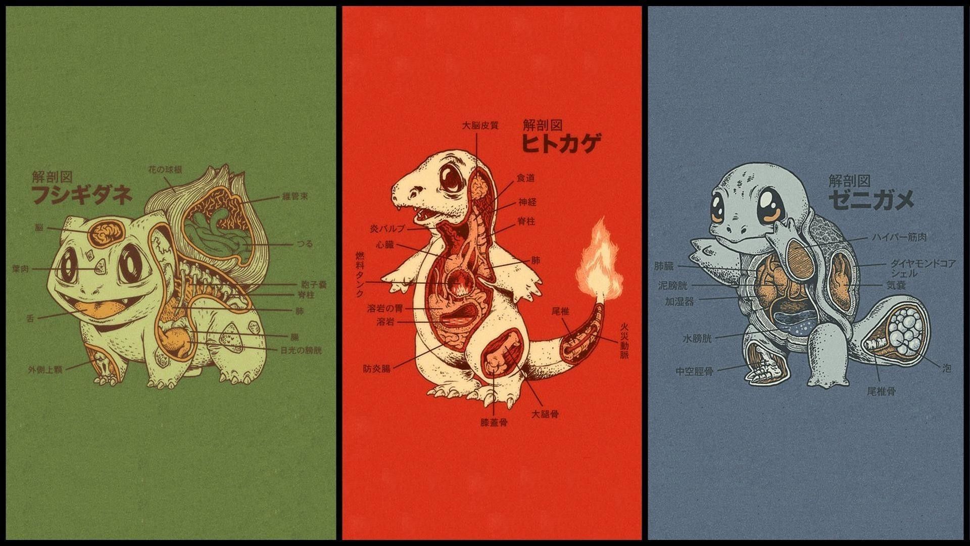 Anatomia Pokemon starter iniziali, creature tascabili, 1920x1080 Full HD, Laptop