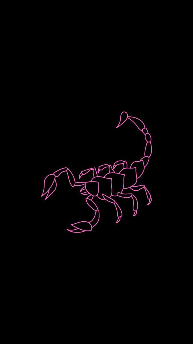 Scorpione al neon rosa, 675x1200 Verticale, Telefono