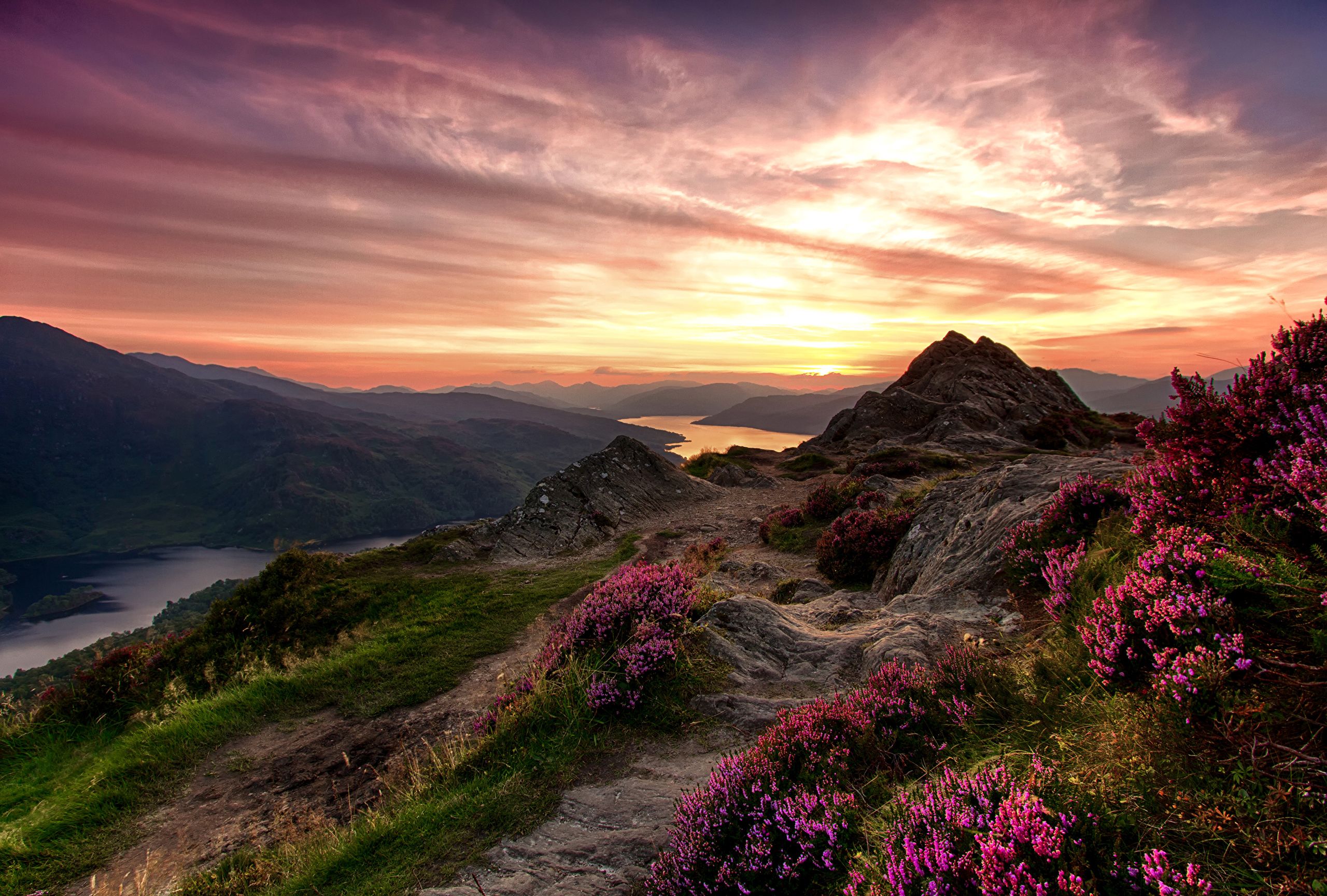 Montagna scozzese con eriche al tramonto, 2560x1729 WQXGA, PC