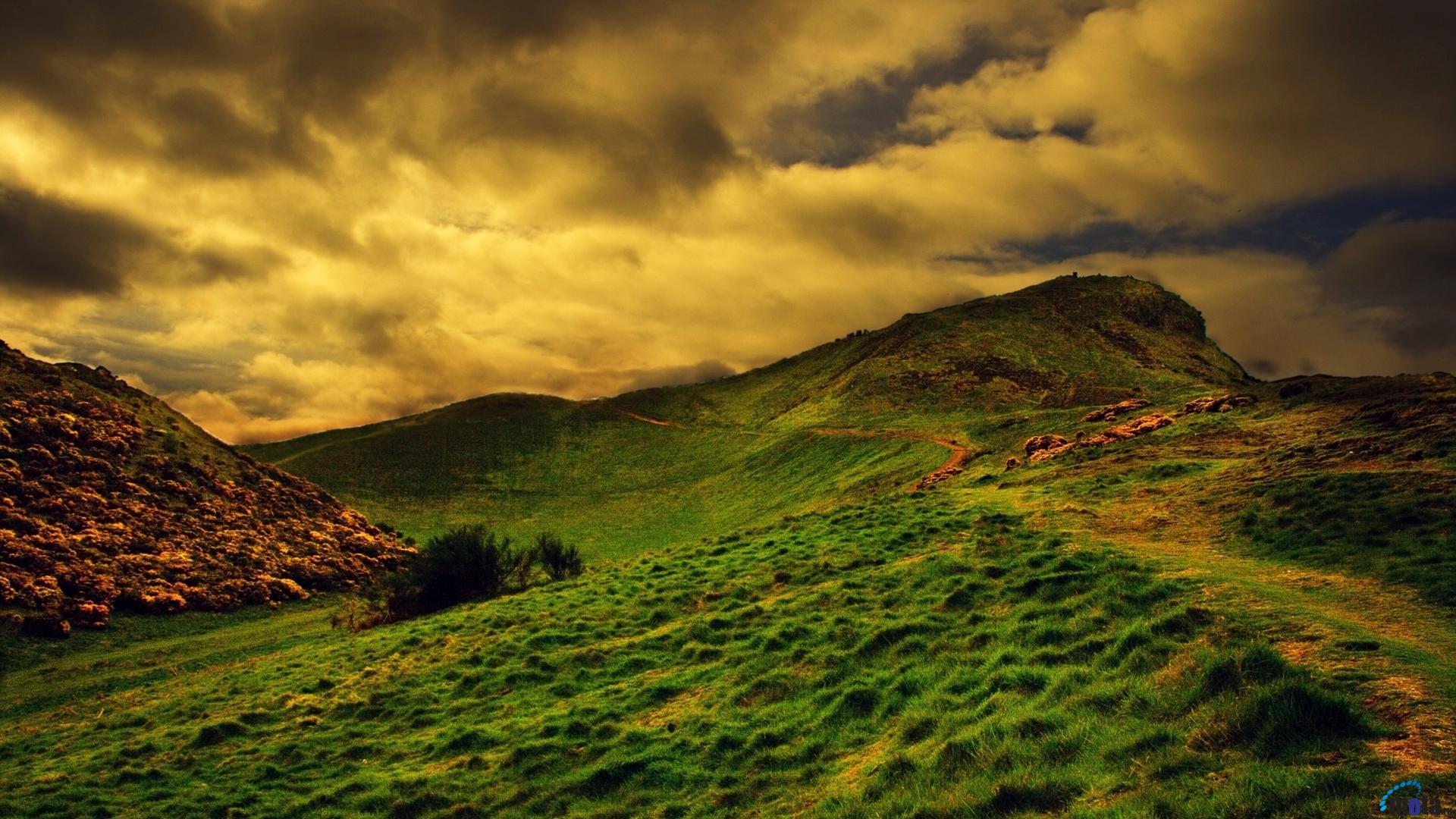 Castello scozzese tra il verde, 910x1213 Full HD Verticale, Smartphone