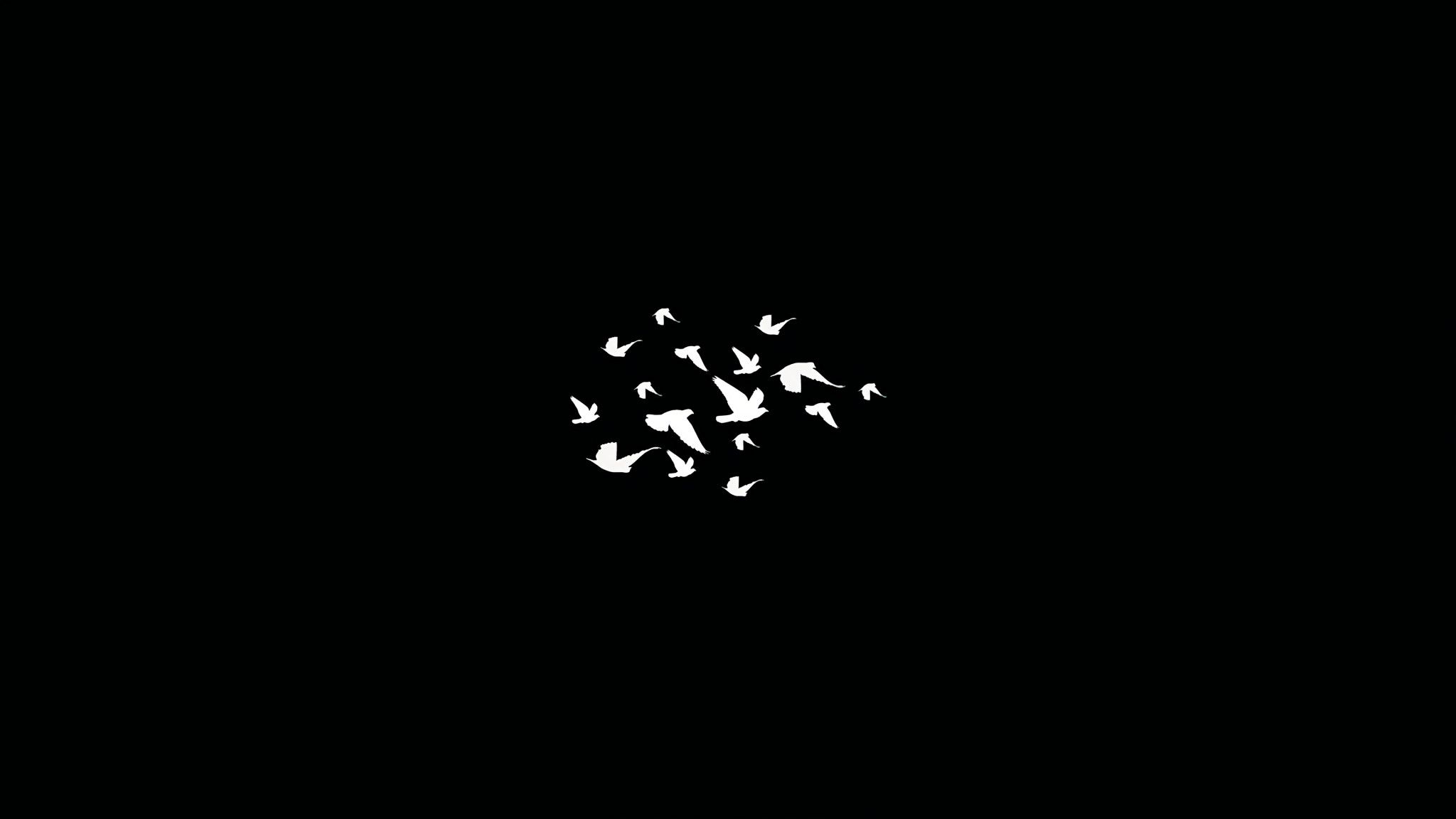 Uccelli in volo minimalista, 2048x1152 alta risoluzione, Laptop