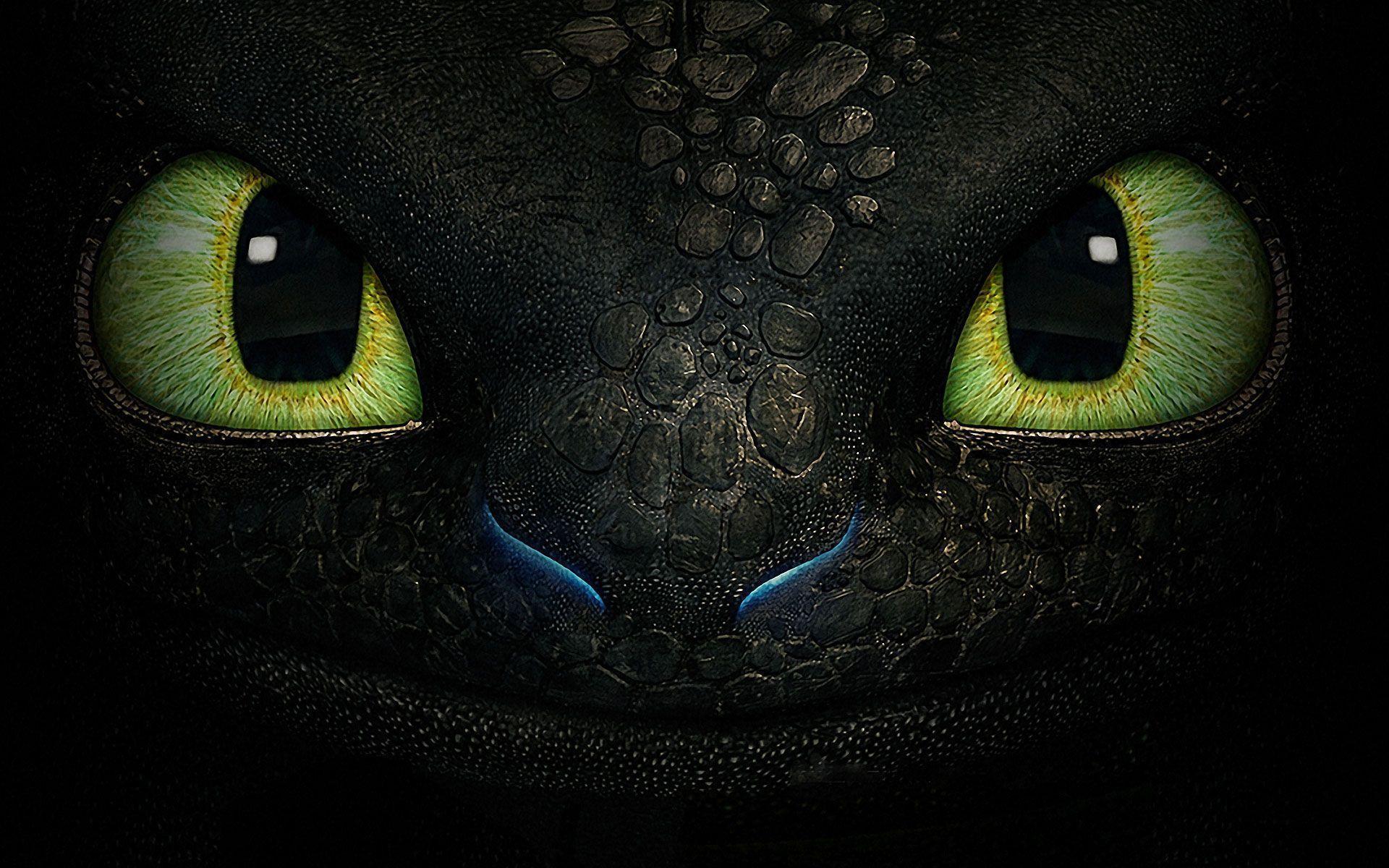 Sdentato occhi verdi drago, 1920x1200 WUXGA, Desktop