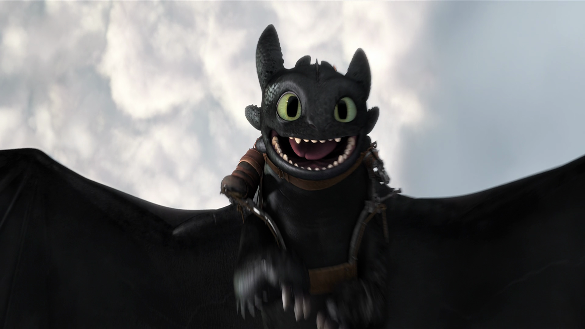 Sdentato drago nero Dragon Trainer, 1920x1080 1080p, PC