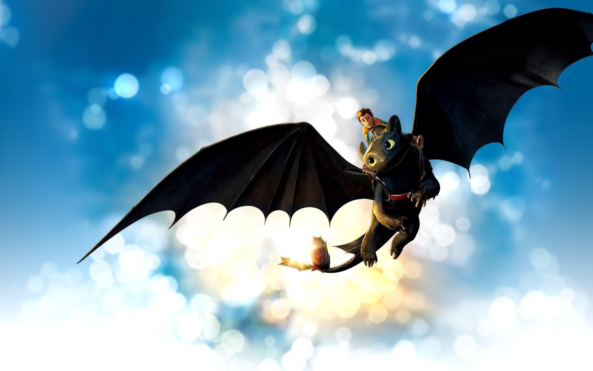 Sdentato drago con Hiccup in volo, 1920x1200 Full HD+, Laptop