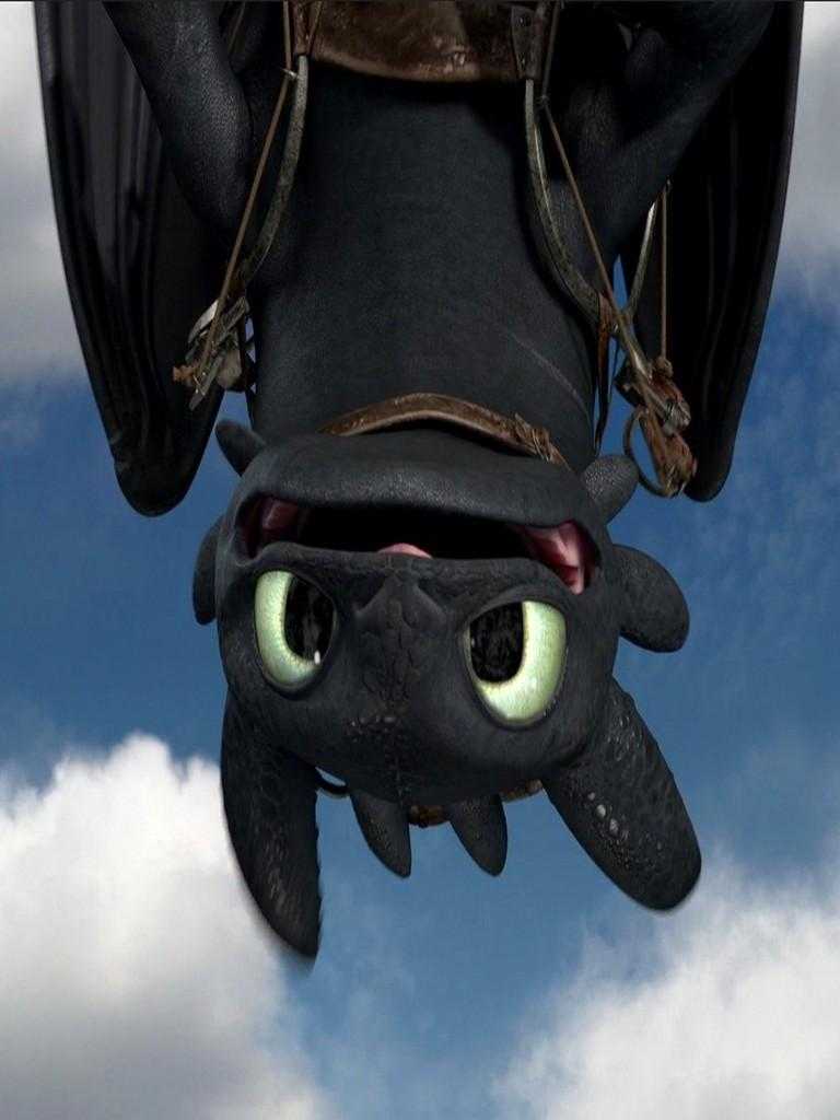 Sdentato drago nero cielo, 768x1024 Full HD Verticale, Samsung Galaxy