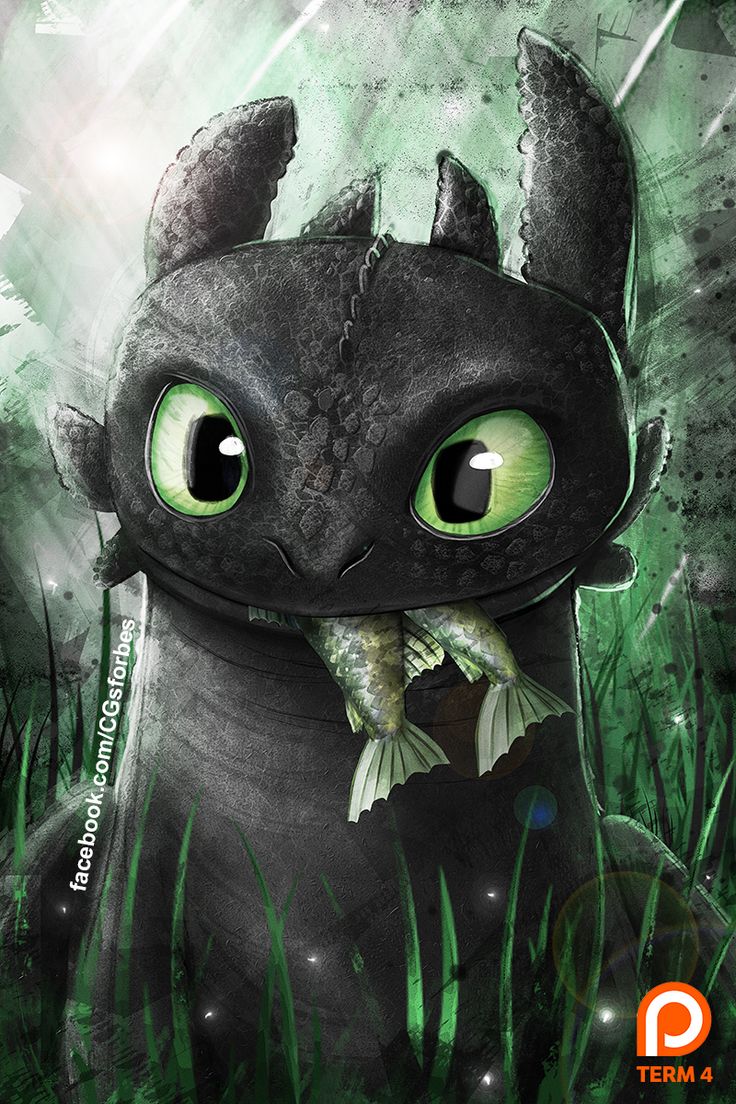 Sdentato drago Dreamworks, 736x1104 Full HD Verticale, Google Pixel