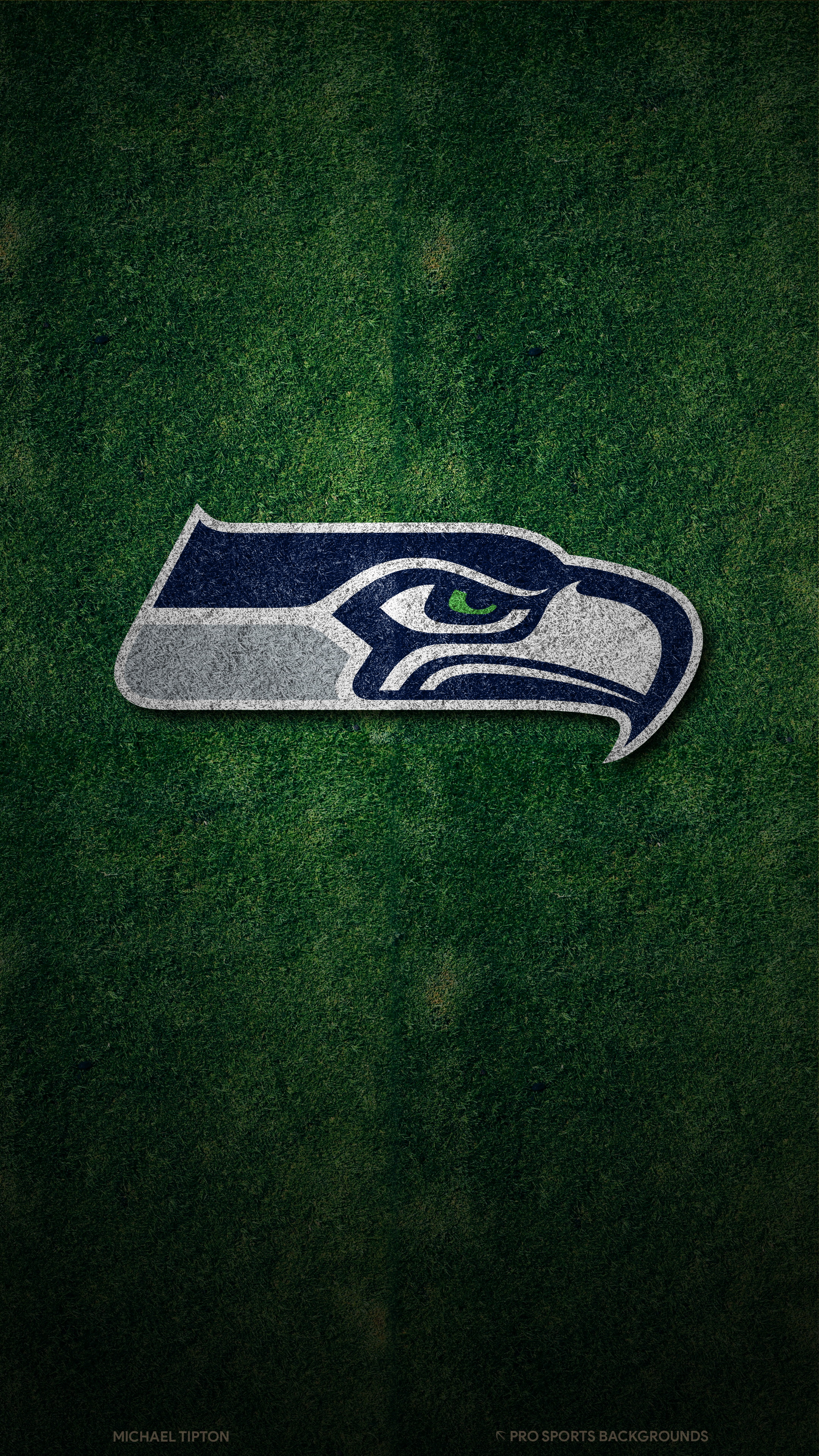 Logo Seattle Seahawks su erba, 2160x3840 Full HD Verticale, Realme