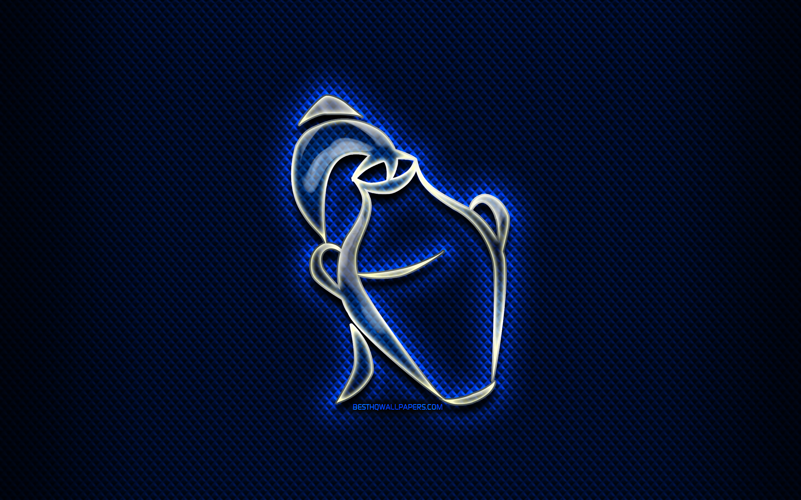 Simbolo Acquario zodiacale blu, 2560x1600 WQXGA, Laptop