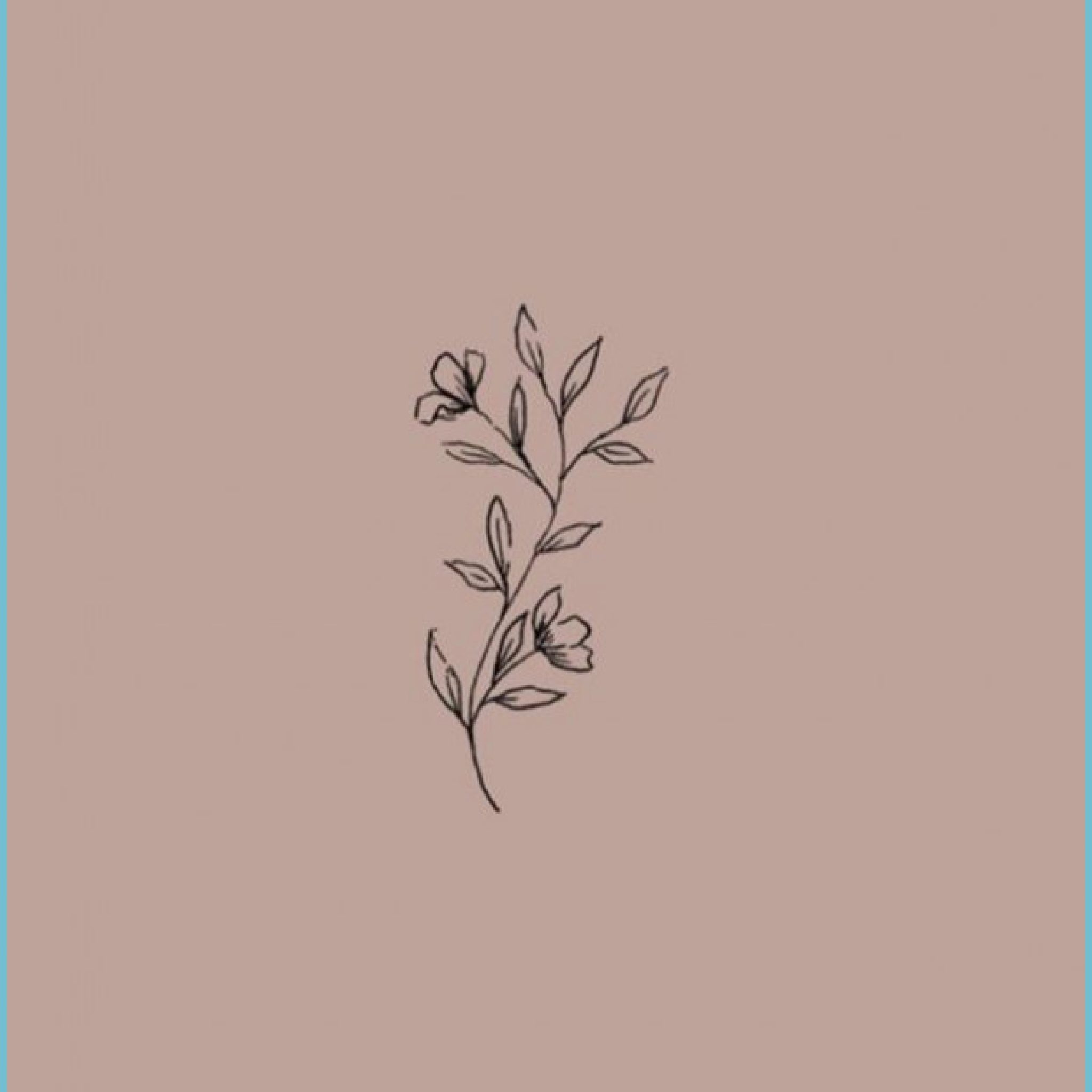 Disegno lineare ramo floreale, 2048x2048 Hi-Res, PC