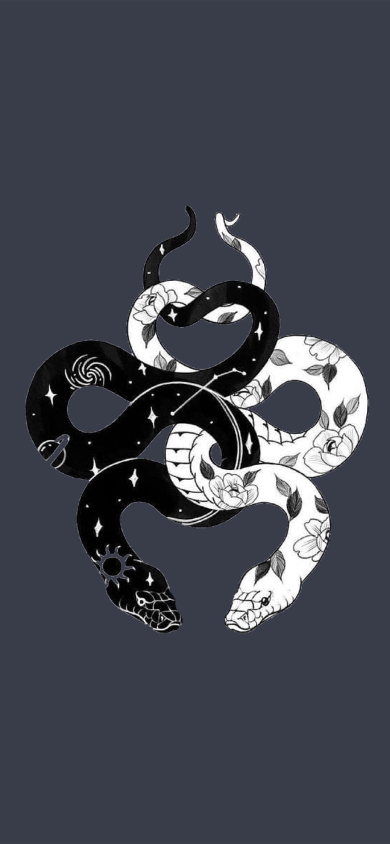 Due serpenti yin yang, 1284x2778 Full HD Verticale, iPhone Pro Max
