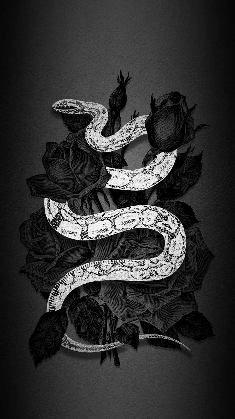 Serpente bianco con rose nere, 900x1600 Full HD Verticale, iPhone