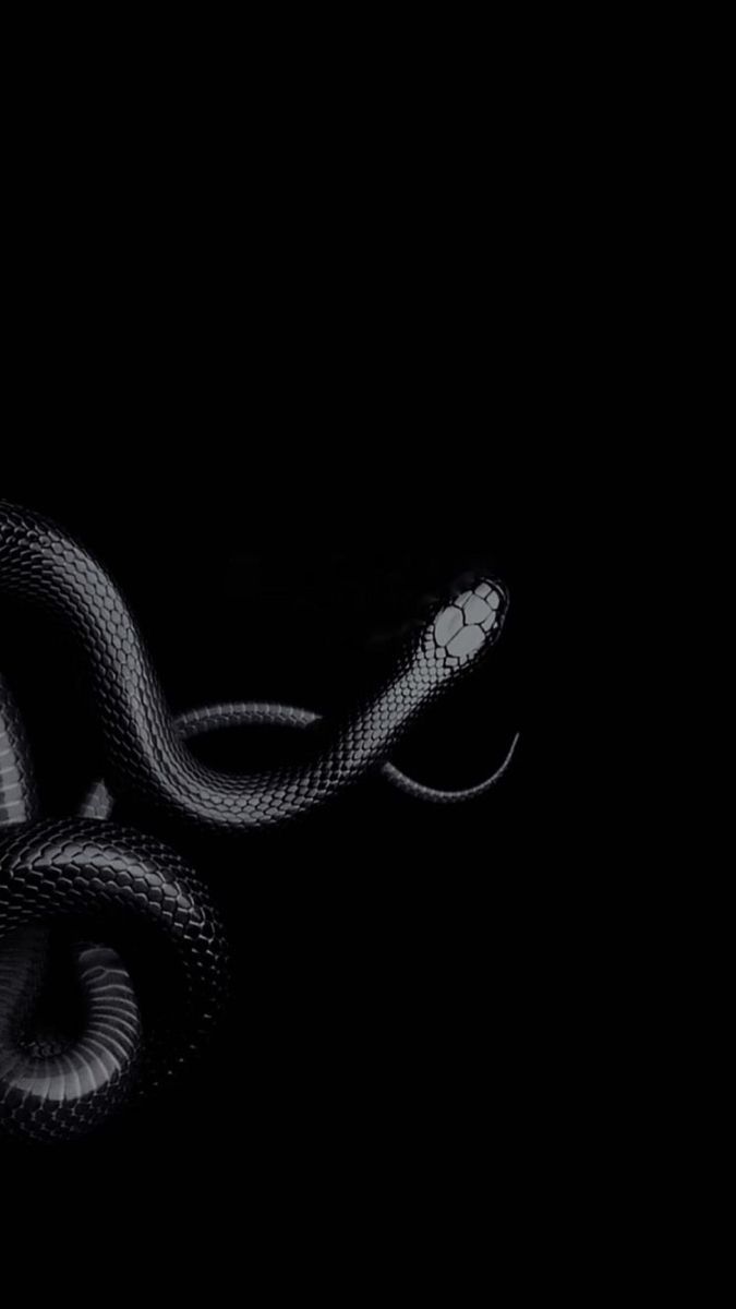 Serpente nero su sfondo nero, 675x1200 Full HD Verticale, iPhone