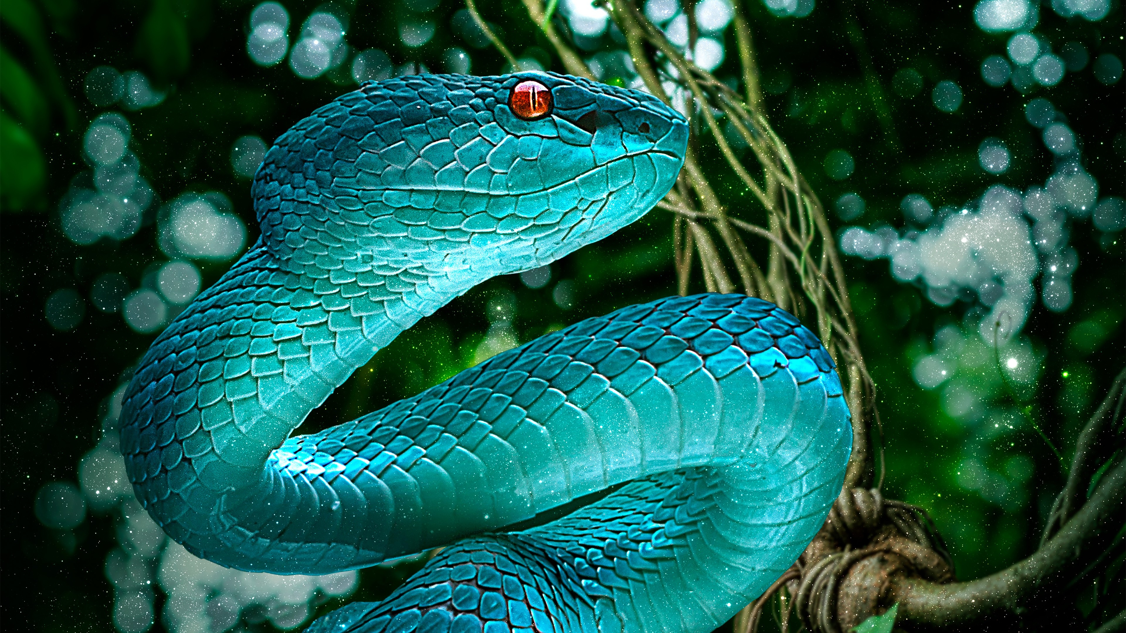 Serpente verde ramo notturno, 3840x2160 4K Ultra HD, Monitor 4K