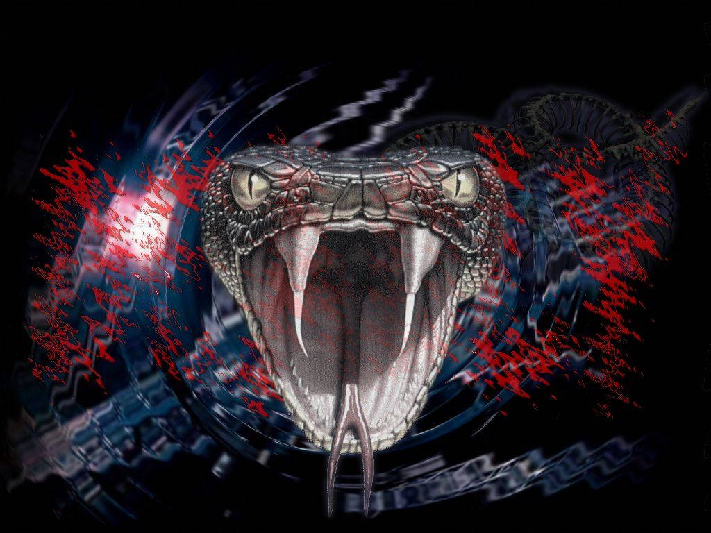 Testa serpente astratto digitale, 1024x768 HD, Desktop