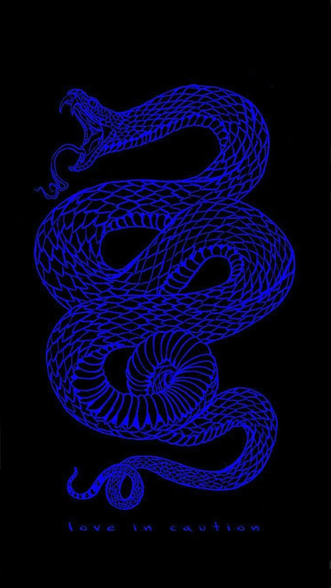 Serpente blu su nero, 675x1200 Full HD Verticale, Smartphone