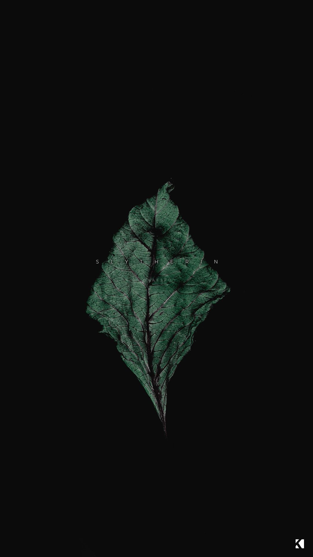 Foglia verde scuro sfondo nero, 1080x1920 Verticale, Mobile