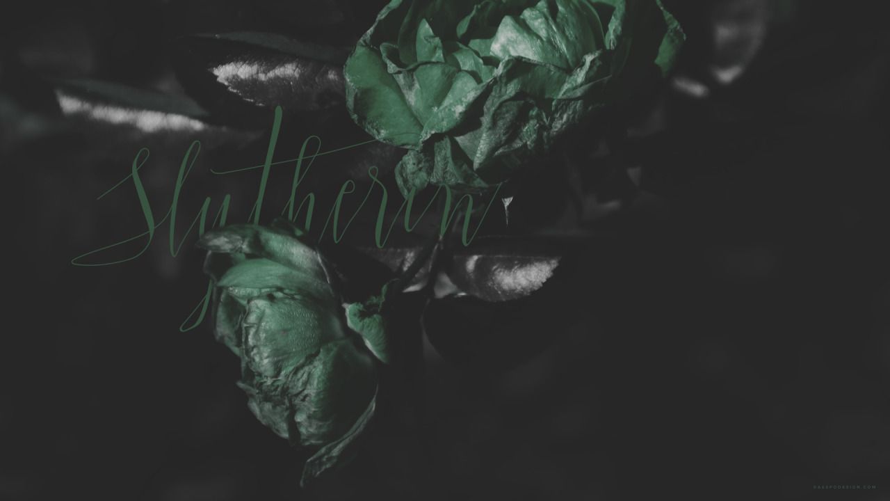 Rose verdi scure, estetica Serpeverde, 1280x720 720p, Laptop