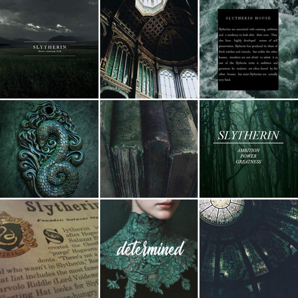 Collage estetico Serpeverde verde scuro, 1024x1024 HD, PC