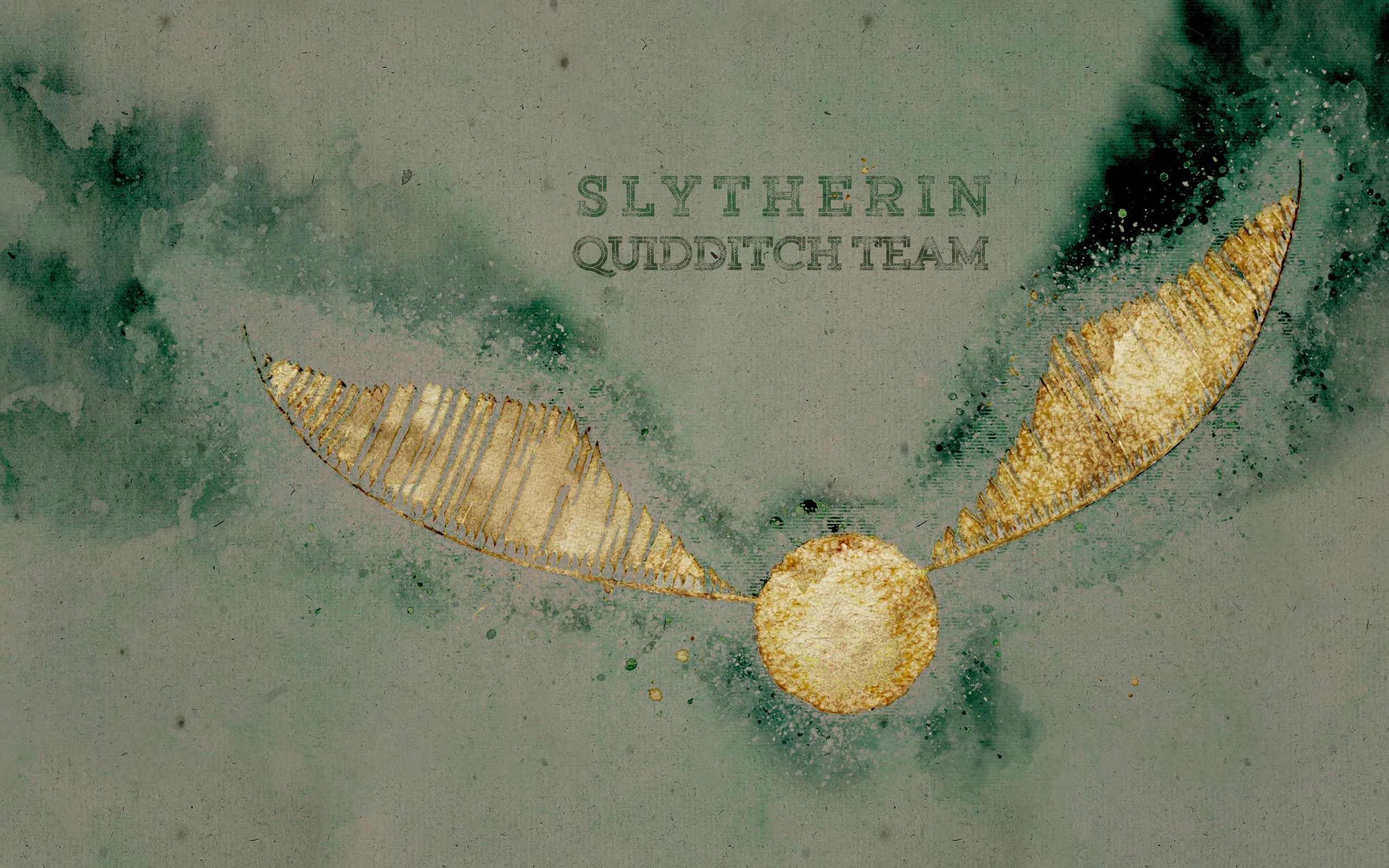 Slytherin Quidditch Team boccino, 2560x1600 2K+, MacBook Pro
