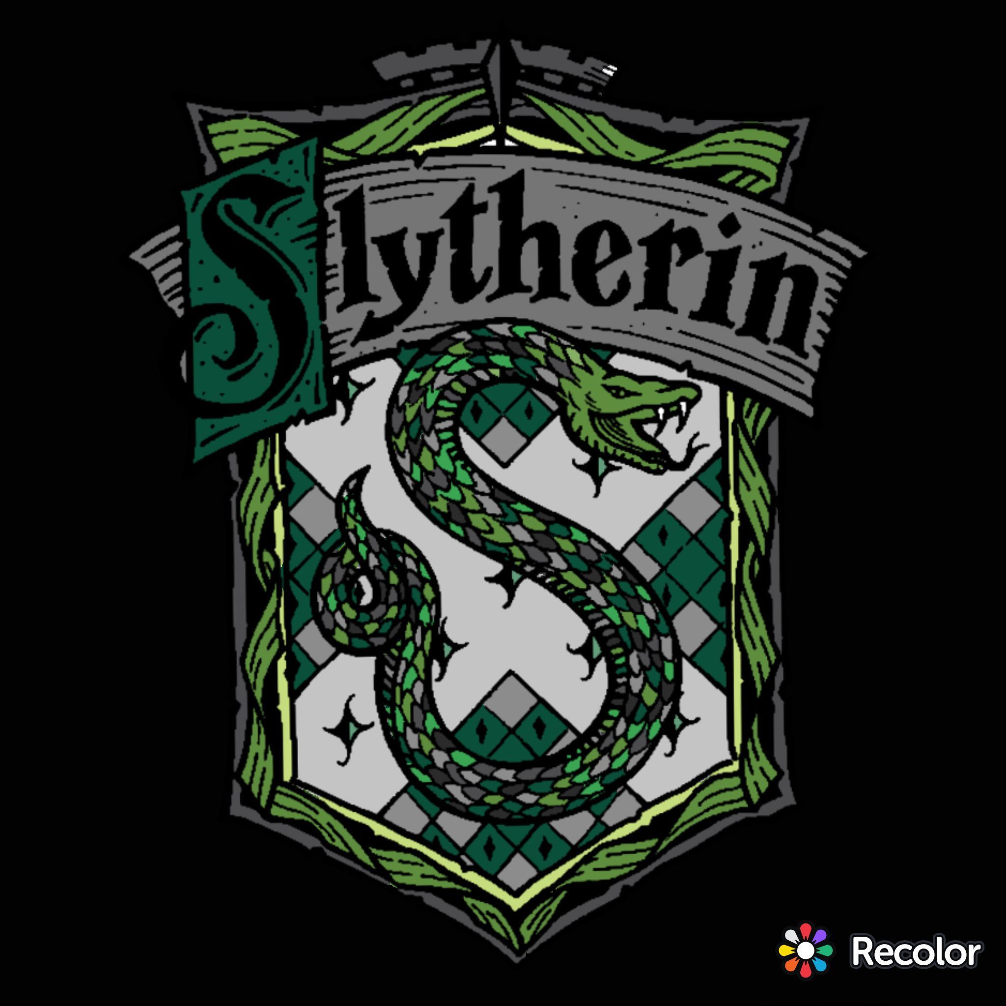 Stemma Serpeverde Harry Potter, 2048x2048 alta risoluzione, Desktop