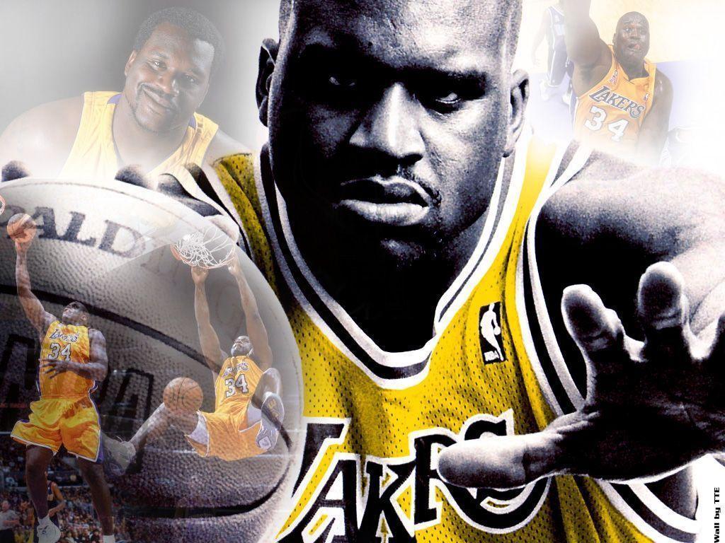 Kobe Bryant e Shaquille O'Neal trofei, Black Mamba, 1024x768 HD, PC