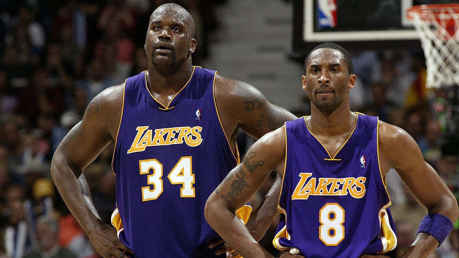 Kobe Bryant Lakers esultanza, 1920x1200 Full HD+ WUXGA, Laptop