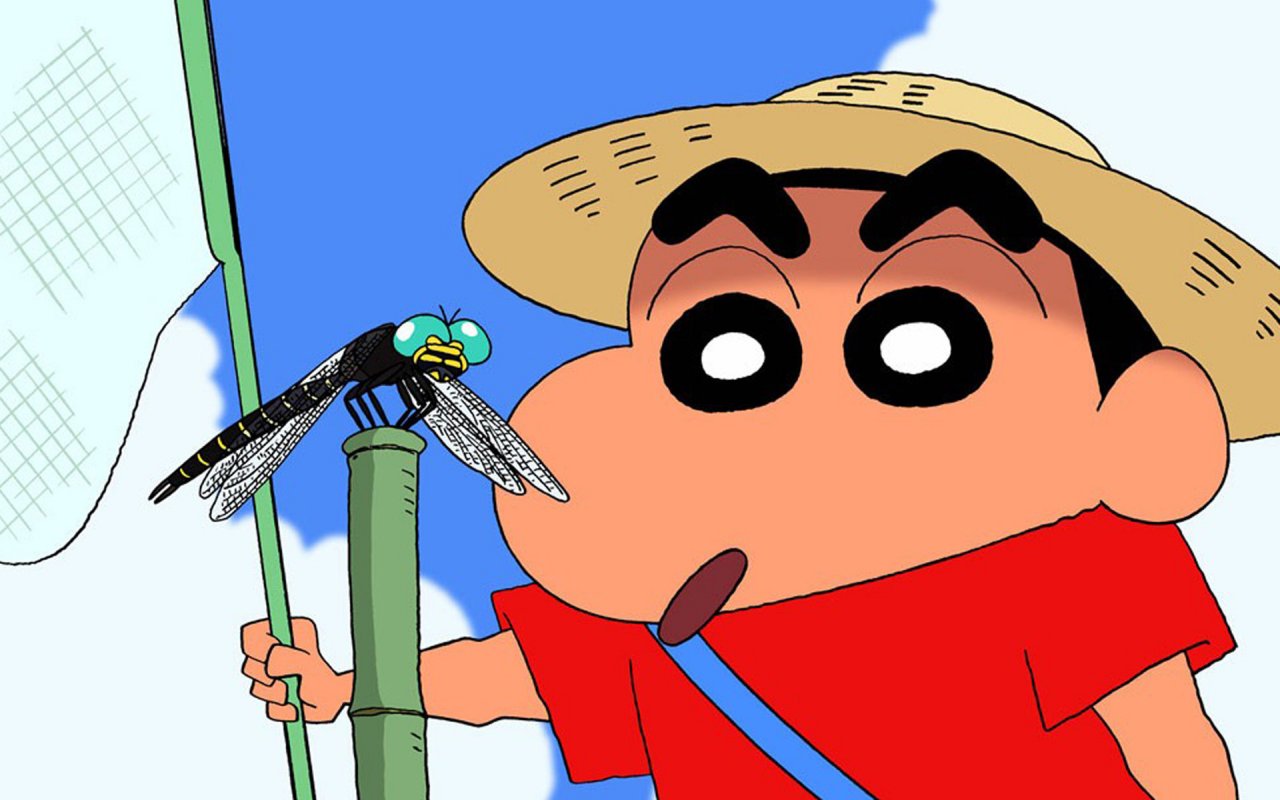 Shin-chan con libellula e retino, 1280x800 HD, Desktop