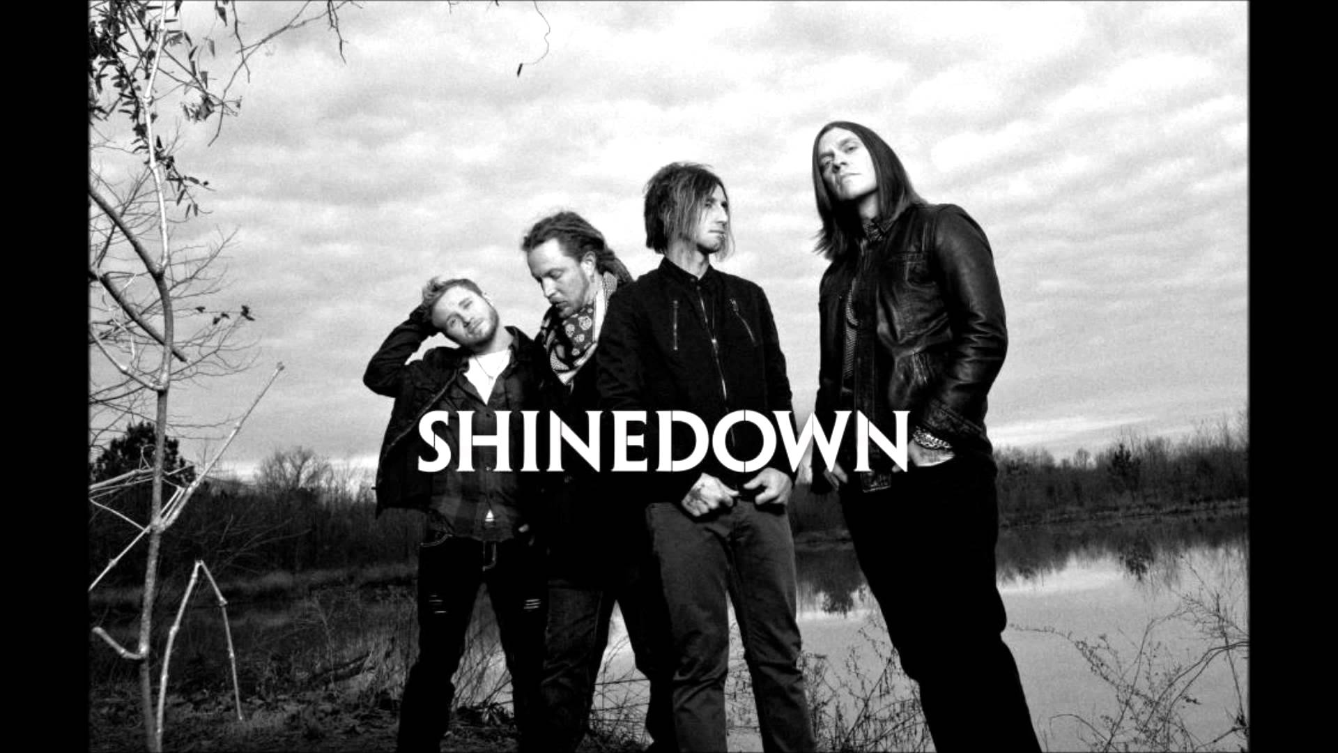 Logo Shinedown uccelli beige, 1024x768 HD, Desktop
