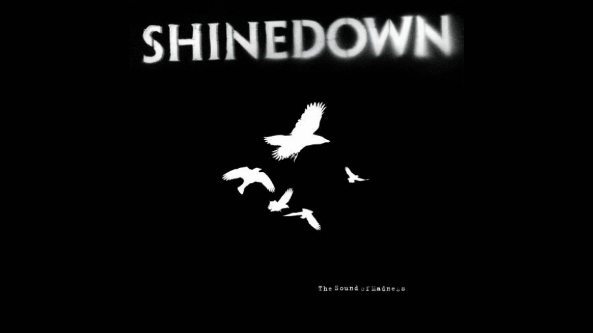 Banda Shinedown bianco e nero, 1920x1080 1080p, PC Desktop