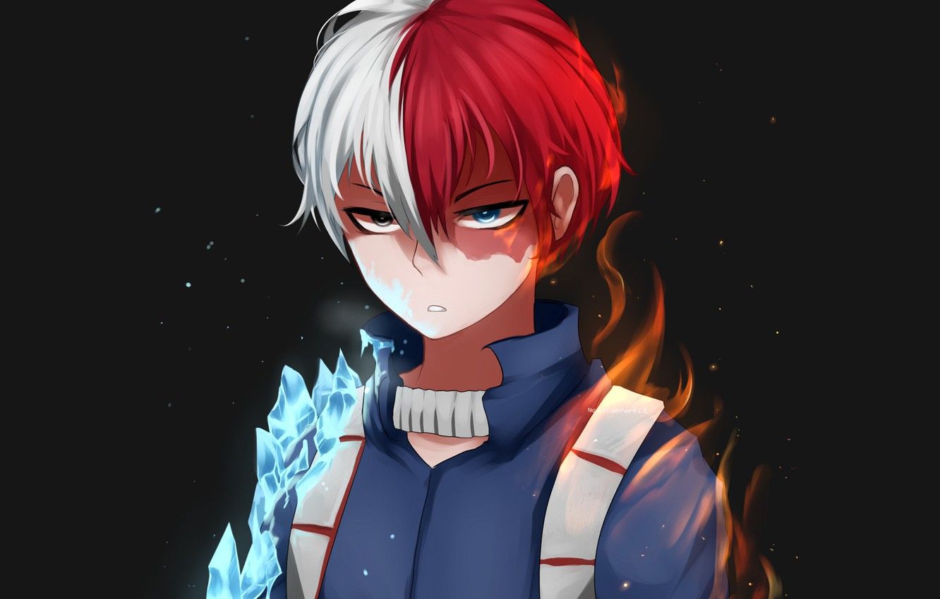 Shoto Todoroki fuoco e ghiaccio, 1920x1200 Full HD+, Monitor Gaming