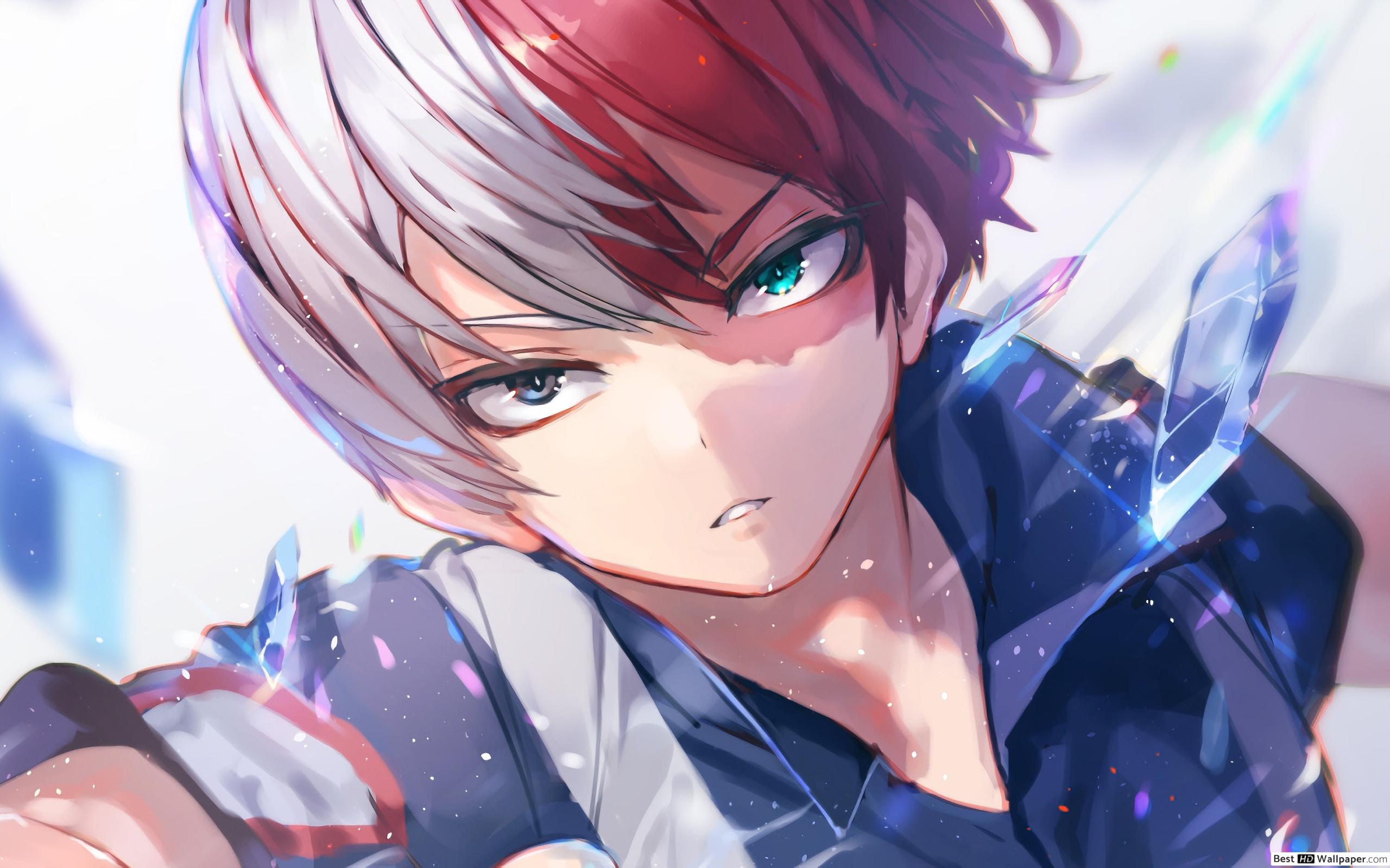Shoto Todoroki, My Hero Academia, 1920x1166 Full HD 1080p, PC Desktop