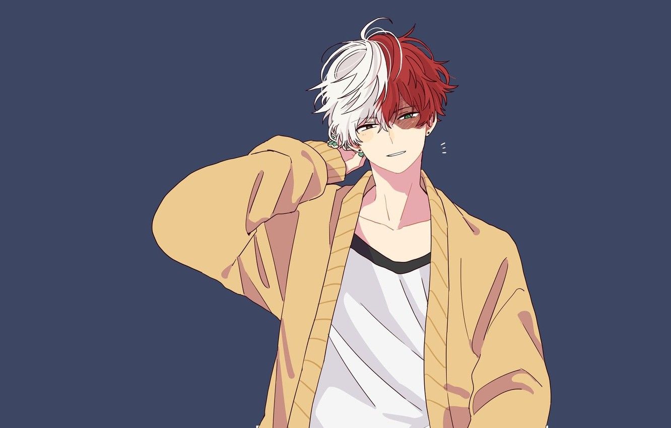 Shoto Todoroki e Momo Yaoyorozu, 1920x1080 Full HD 1080p, Desktop