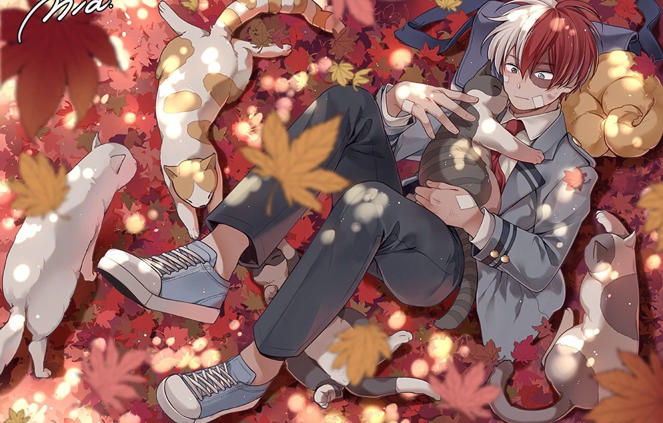 Shoto Todoroki fuoco e ghiaccio, 3840x2160 4K Ultra HD, Desktop