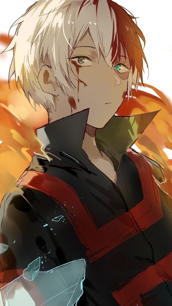 Shouto Todoroki, Boku no Hero Academia, 720x1280 Full HD Verticale, Realme