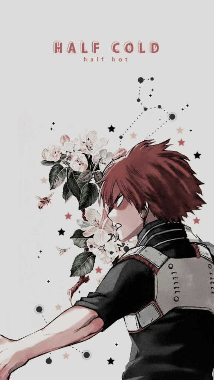Shouto Todoroki, My Hero Academia, 720x1280 Verticale, OnePlus