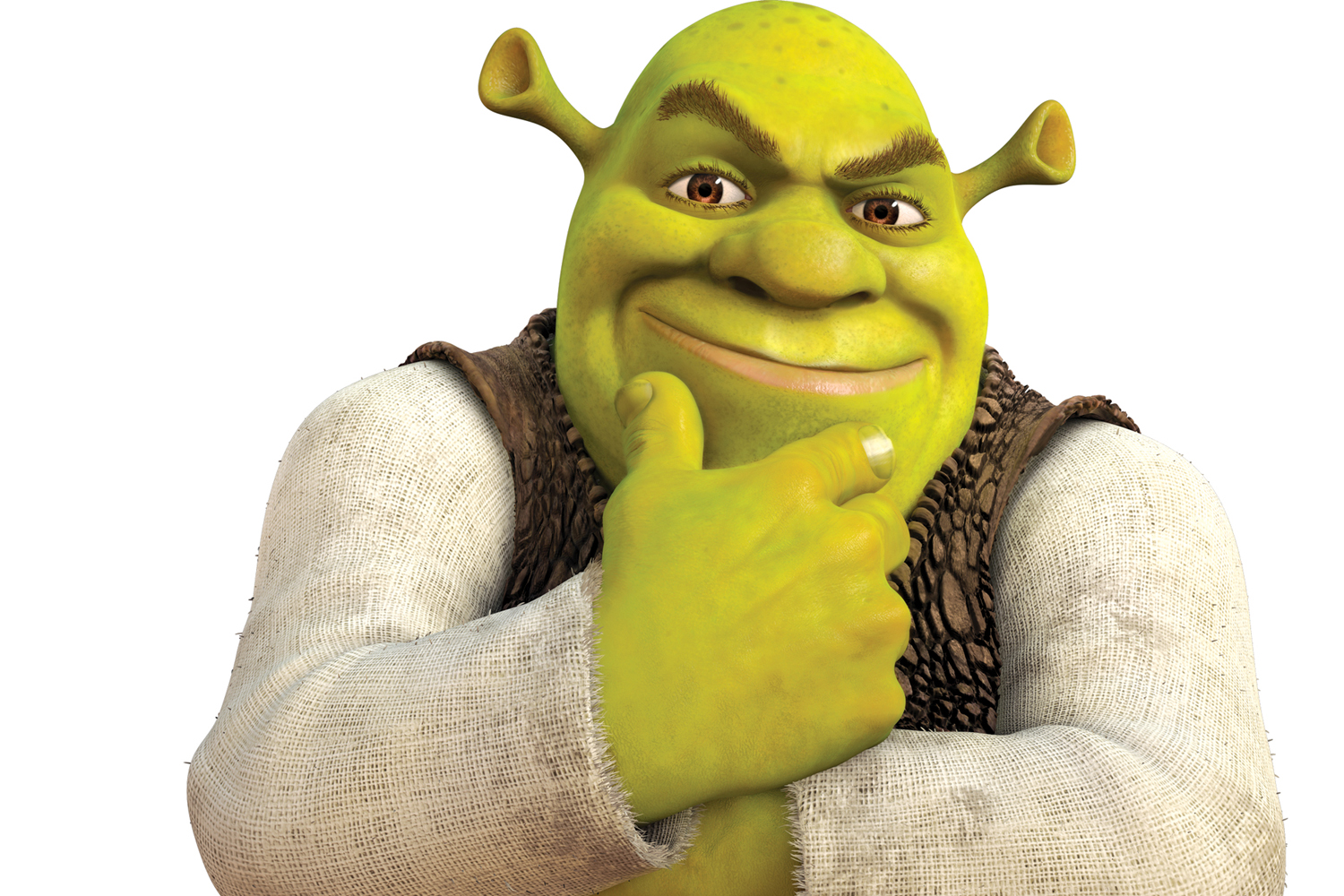 Shrek personaggio animato, 1500x1000 HD, Notebook Gaming
