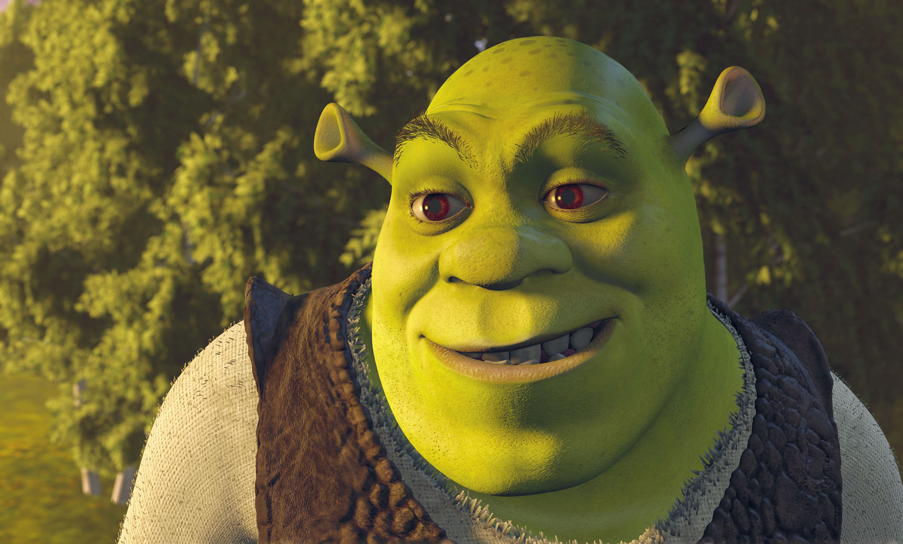 Shrek primo piano, 3000x1808 2K, Desktop