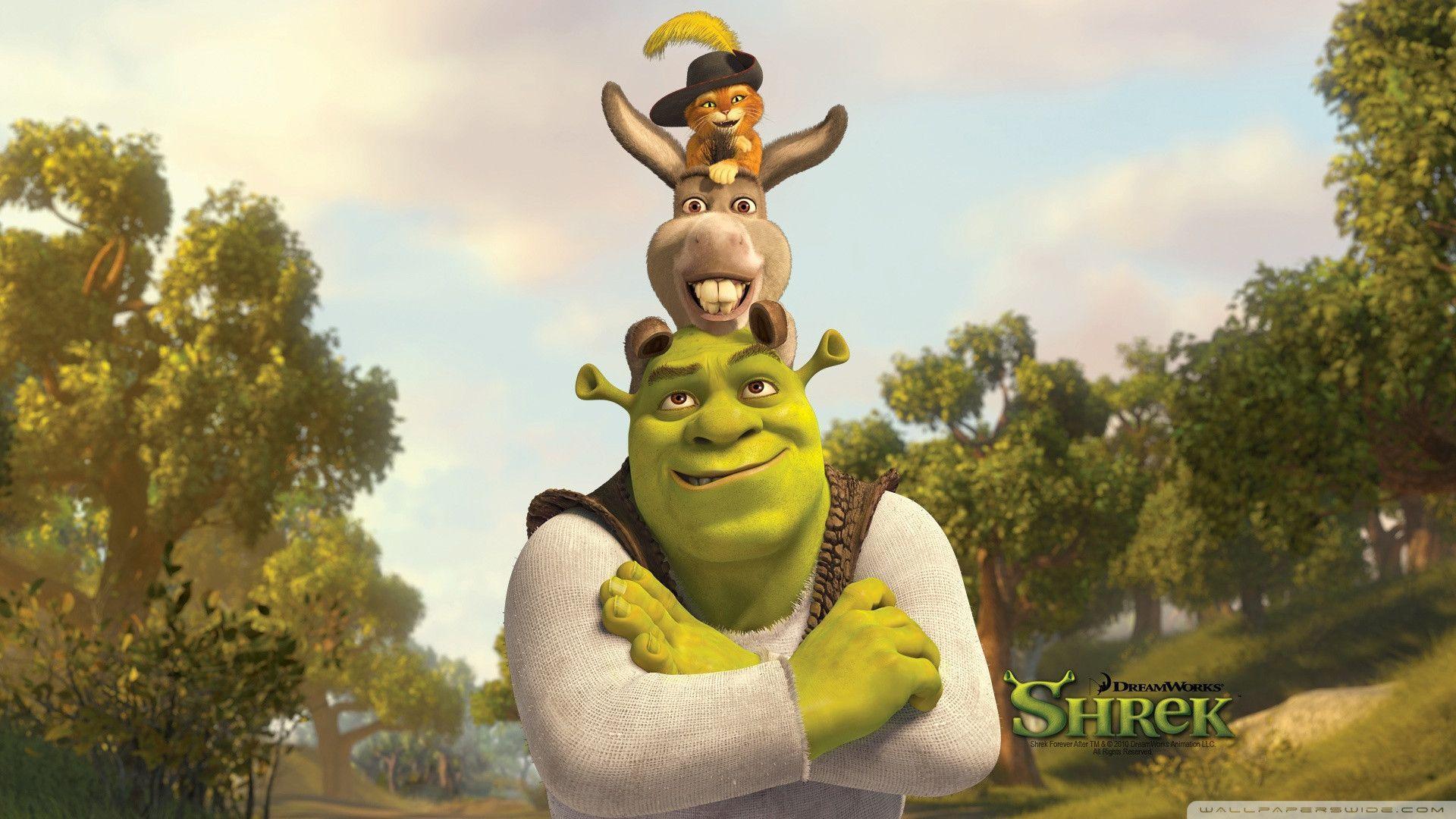 Shrek, Ciuchino e Gatto con Stivali, 1920x1080 Full HD 1080p, Laptop